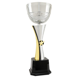 silver-gold-textured-completed-metal-cup-trophy
