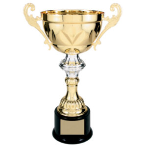 gold-completed-metal-cup-trophy-on-plastic-base