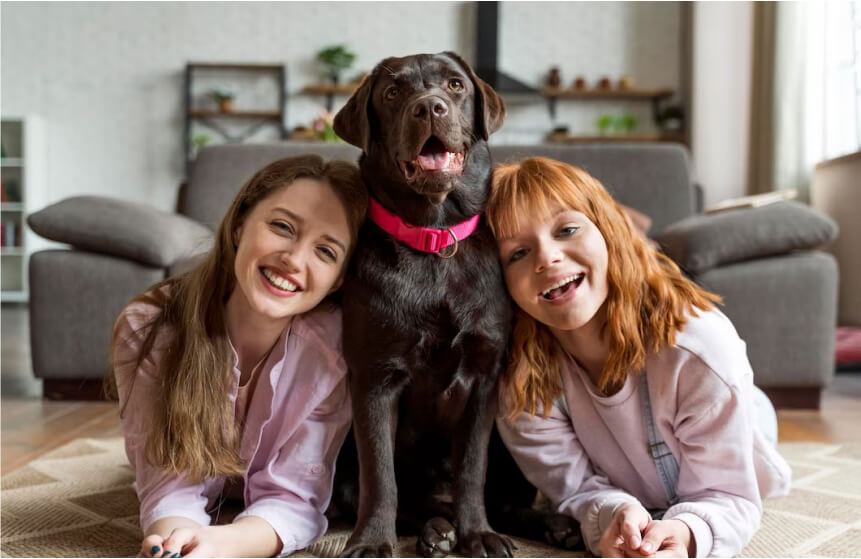 How Potty Training Puppy Apartment Teaches Clean Habits From Day One