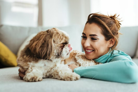 How Potty Training Puppy Apartment Teaches Clean Habits From Day