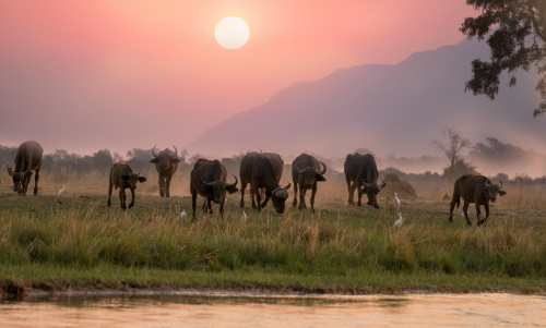 How to Prepare for a Mount Kilimanjaro Climb