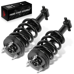 Front Strut Assembly