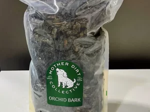 Planting Bark